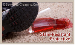 scotchgard stain protectors