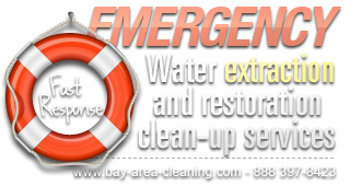 floods and water damage restoration services