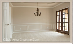 move in and out cleaning services