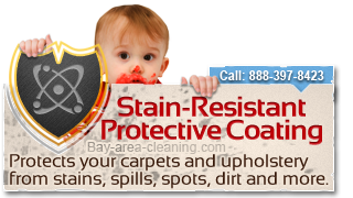 upholstery stain protectors