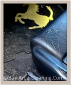 carpet & upholstery cleaning carpet & upholstery cleaning
