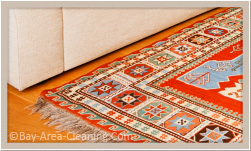 rug cleaning treatment