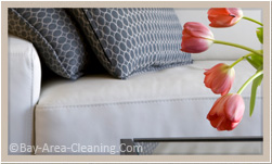 upholstery cleaning